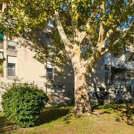 Appartement Apartment Split Split